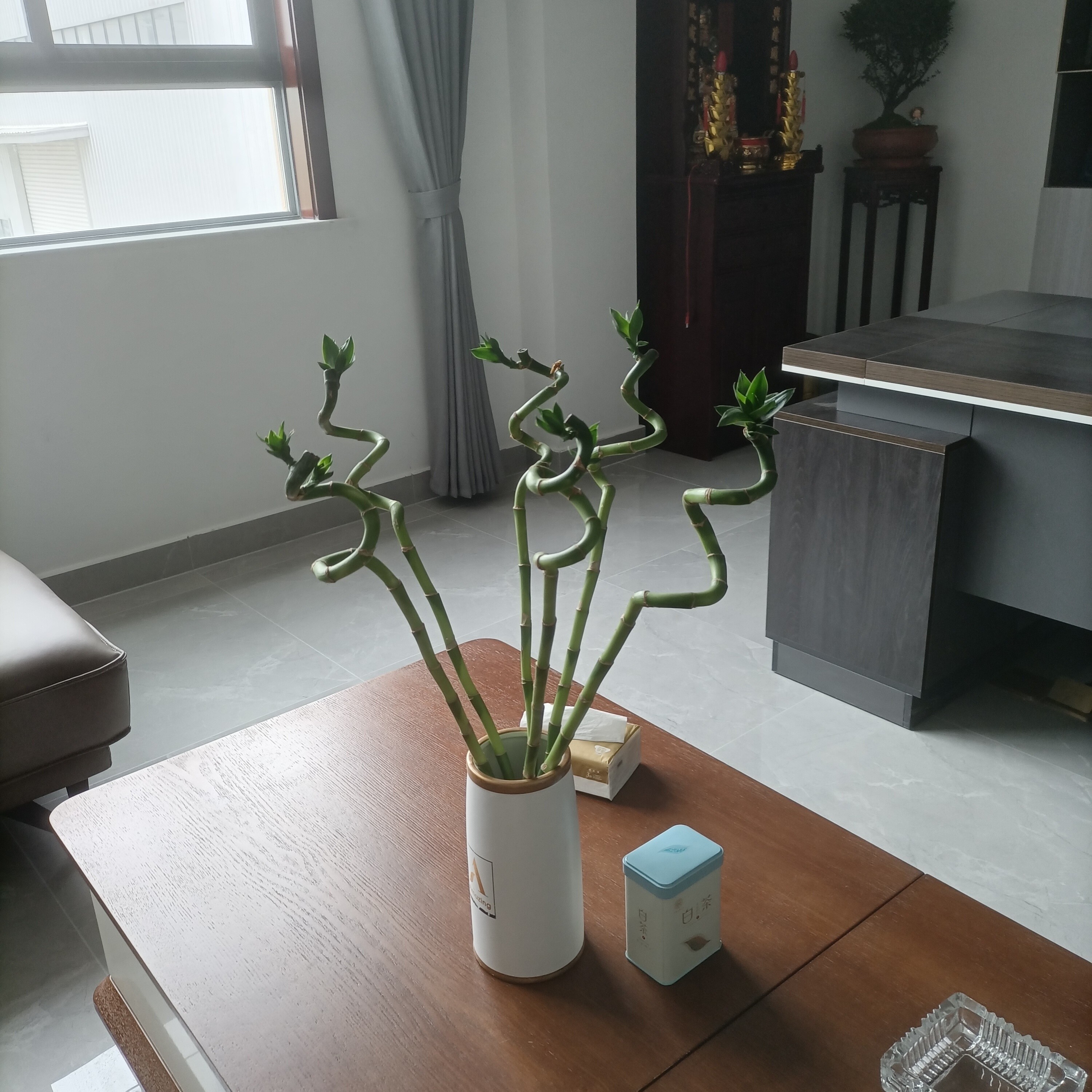 圖片關鍵詞